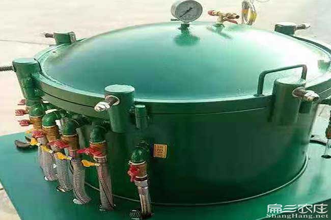 高陵茶油在國外受歡迎 高陵茶油在國外受歡迎