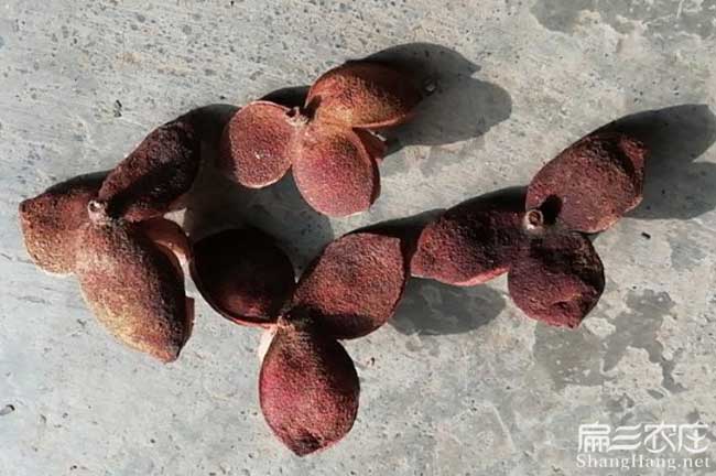 略陽縣江西贛石贛無系 略陽縣江西贛石贛無系