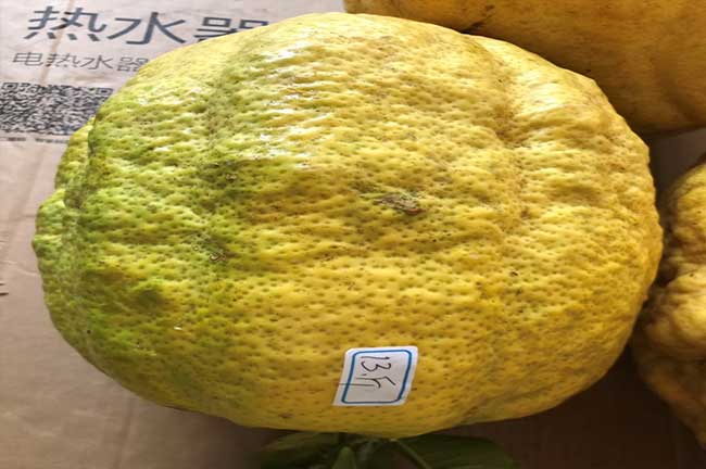 從江縣市場上小果和大 從江縣市場上小果和大