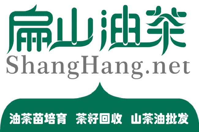 貴州山茶油批發(fā) 貴州山茶油批發(fā)