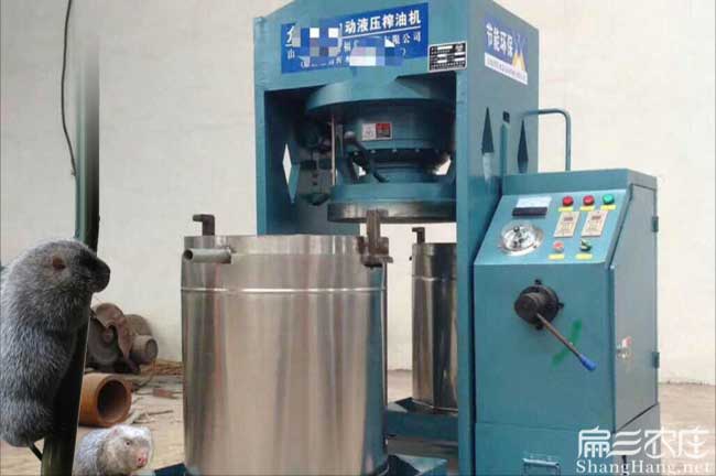 烏沙油茶銷售銷量的品 烏沙油茶銷售銷量的品