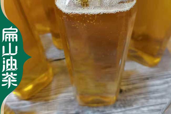 邵陽(yáng)茶油批發(fā)
