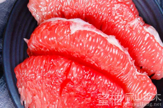 廣西紅心柚子苗批發(fā)