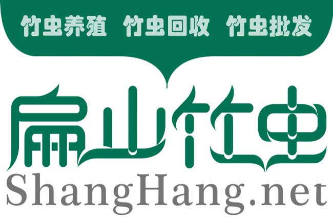 浙江竹蟲養(yǎng)殖基地 浙江竹蟲養(yǎng)殖基地