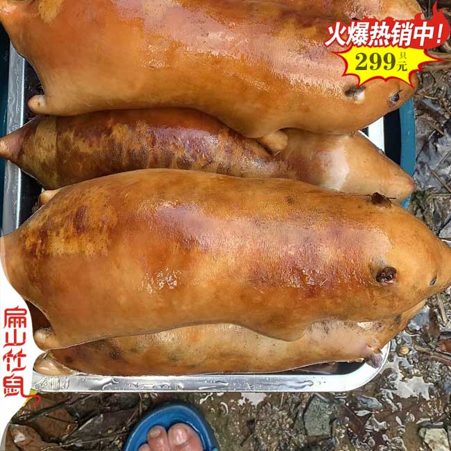 特大紅頰竹鼠荊州宜昌豚鼠養(yǎng)殖基地 黑白花彩豚鼠養(yǎng)殖場89元/對