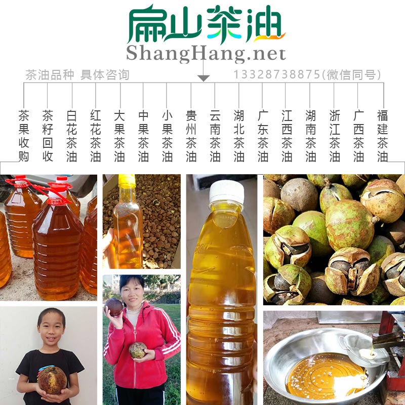 油茶種植方案規(guī)劃
