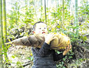 龍巖上杭扁山竹筍