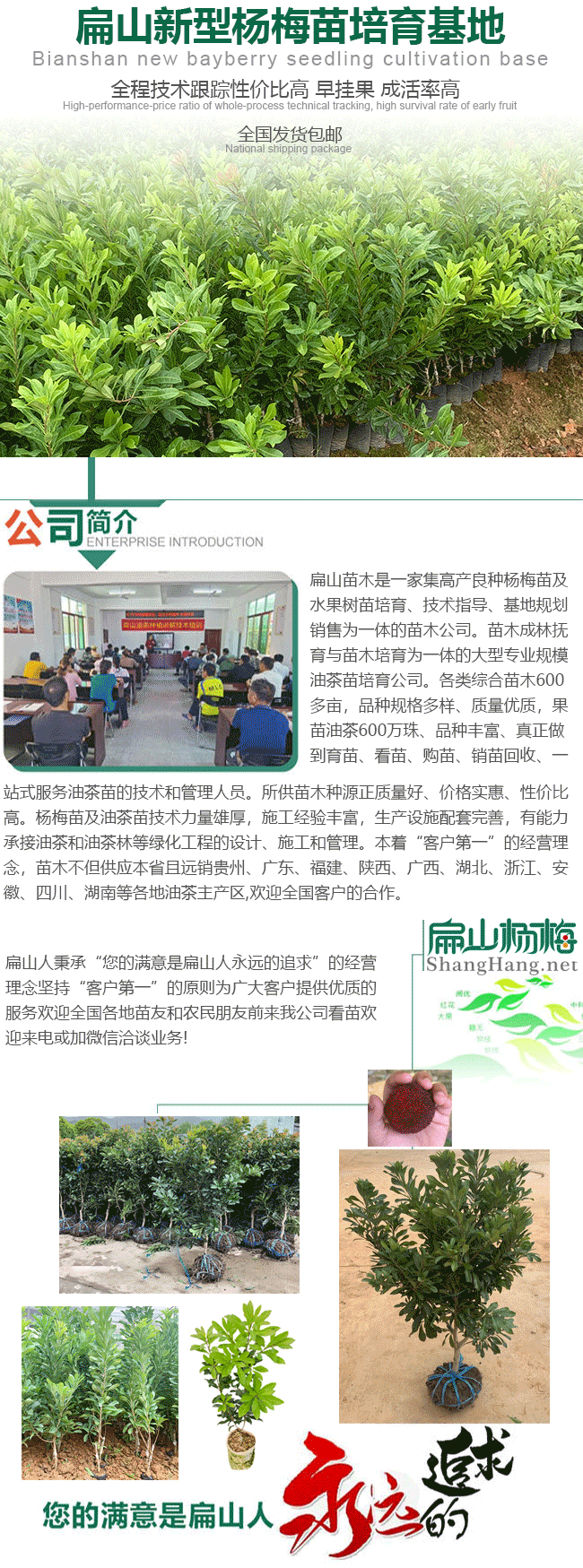 扁山楊梅公司簡(jiǎn)介 扁山楊梅公司簡(jiǎn)介