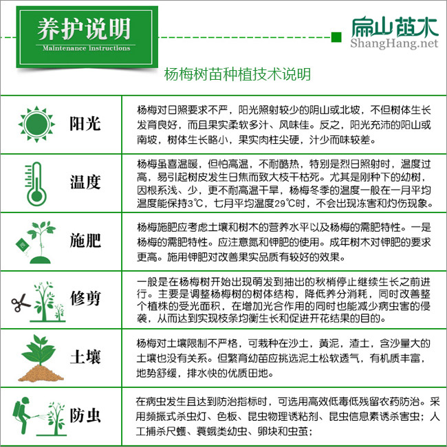 油茶種植技術(shù)